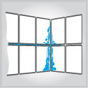 Mold & Mildew