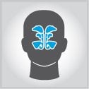 Sinus Trouble