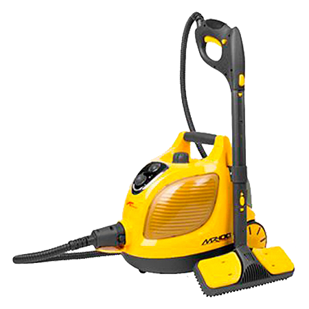 Steam Cleaners