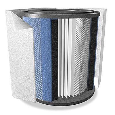 Austin Air HealthMate Replacement Filter Pack (FR400)