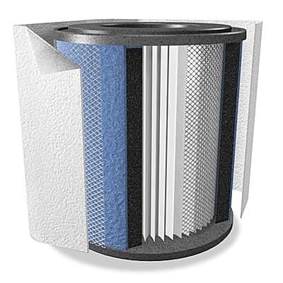 Austin Air HealthMate Replacement Filter Pack FR400